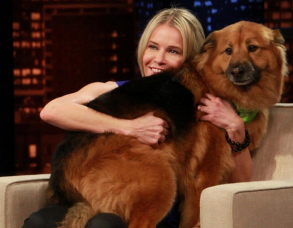 @chelseahandler from Chelsea Staff Twitpics & Instagrams | E! News